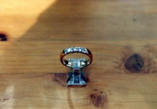 ringen (13)